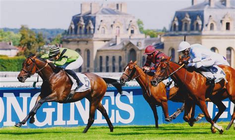 horse racing api|french thoroughbred racing.